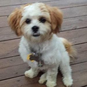 Meet your Posher, Theresa